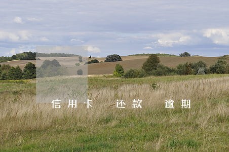 信用卡 还款 逾期 信用卡 还款 逾期
